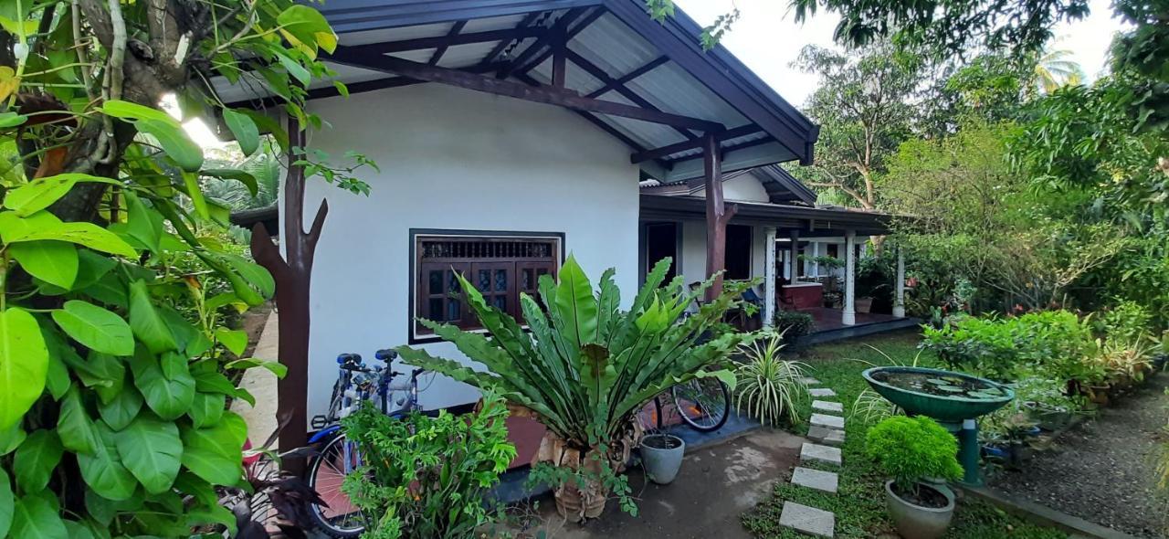 Galaxy View Homestay Сігірія Екстер'єр фото