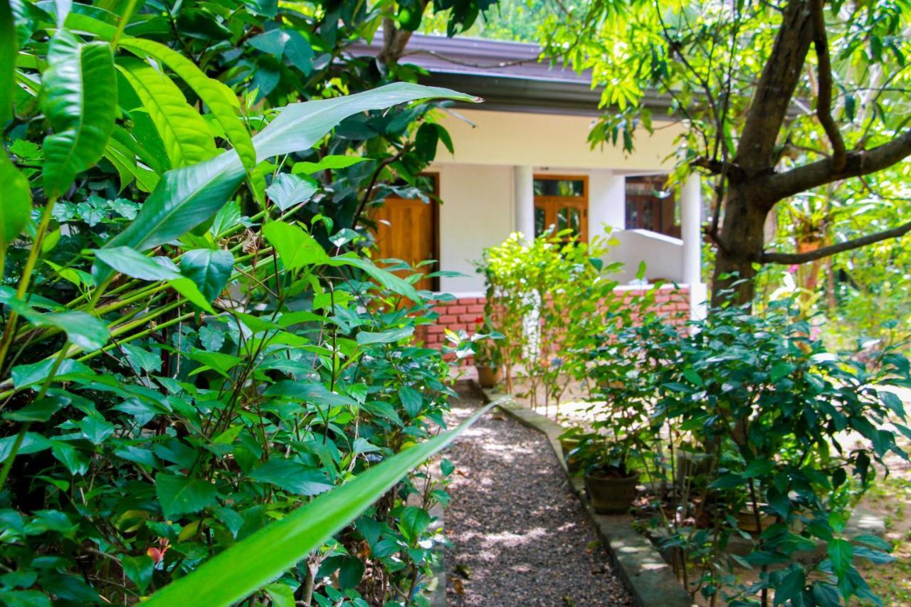 Galaxy View Homestay Сігірія Екстер'єр фото