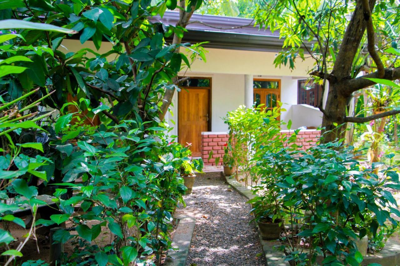 Galaxy View Homestay Сігірія Екстер'єр фото