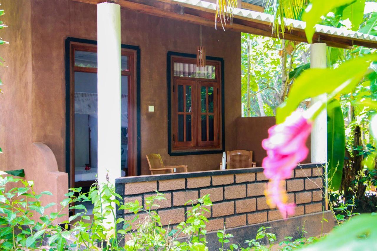 Galaxy View Homestay Сігірія Екстер'єр фото