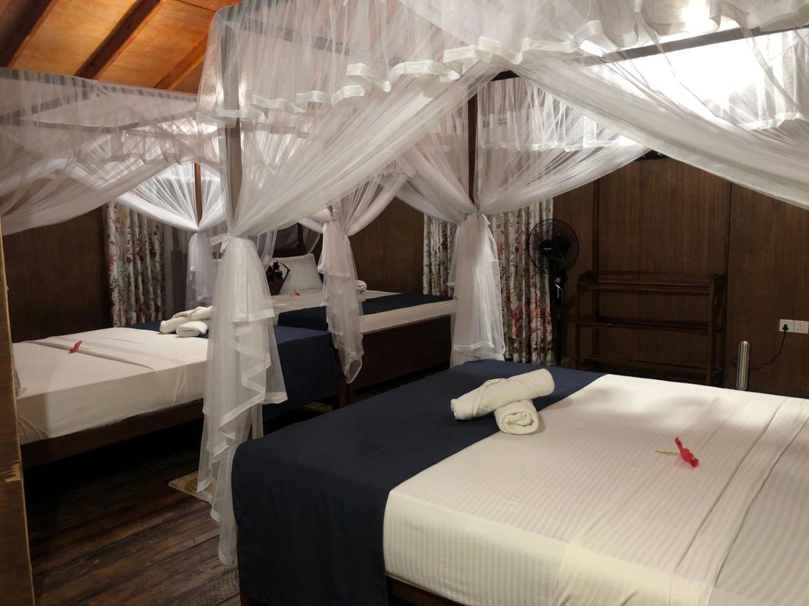 Galaxy View Homestay Сігірія Екстер'єр фото